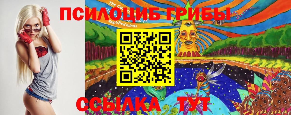Псилоцибиновые грибы Psilocybe Аксай