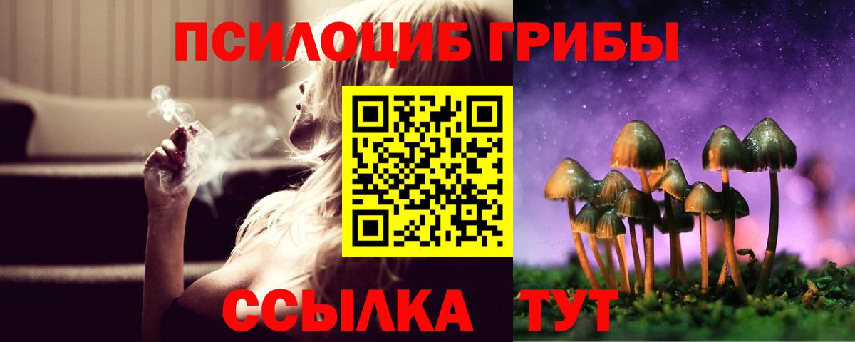 продажа наркотиков  Вход с VPN  Аксай  Галлюциногенные грибы ЛСД  Псилоцибиновые грибы Cubensis 